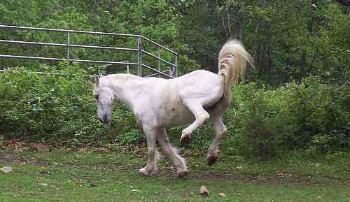 Monty Free At Last