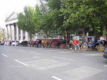 Dublin Carriage Horses