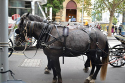 Melbourne Two