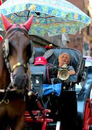 Rome Horses as Slaves