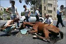 Tel Aviv Isreal